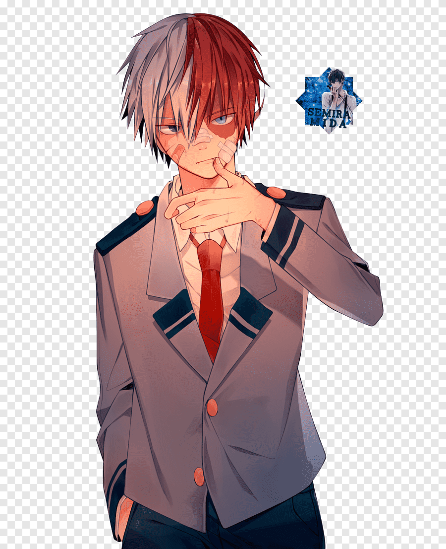 Shoto Todoroki — Character